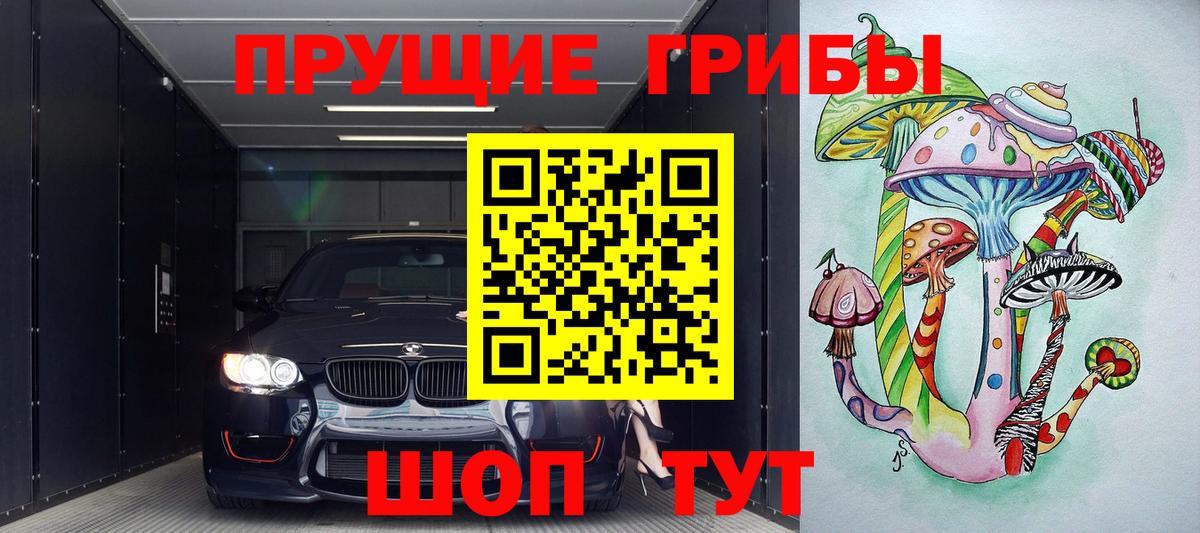 Сертолово  где можно купить   Вход с VPN  Псилоцибиновые грибы ЛСД 