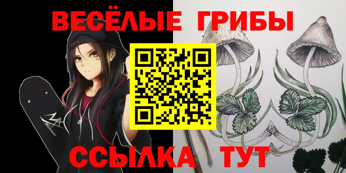 Галлюциногенные грибы Psilocybe Сертолово